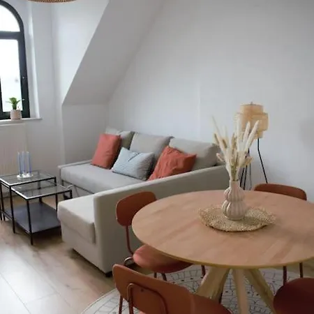 Daire Charmante Altbauwohnung - Ueber Den Daechern Kassberg Chemnitz