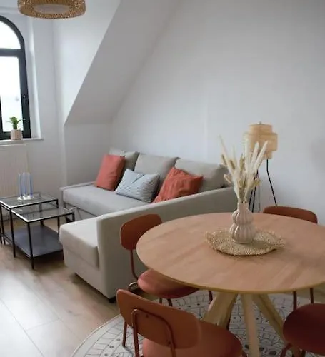 Apartament Charmante Altbauwohnung - Ueber Den Daechern Kassberg Chemnitz